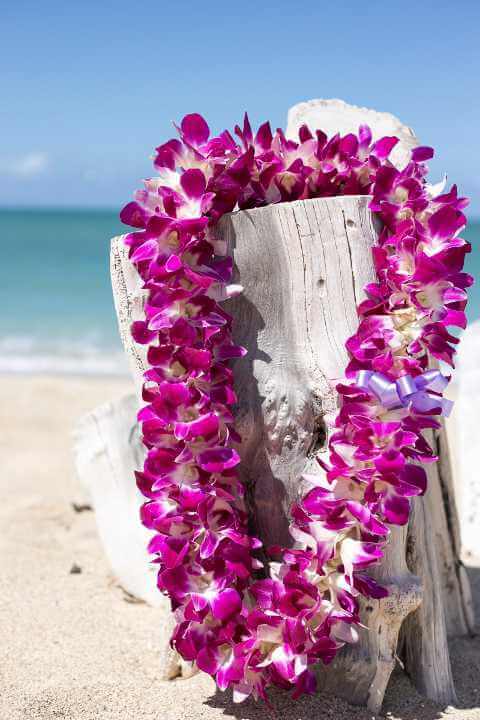 Deluxe Lei Greeting Kahului Airport in Maui