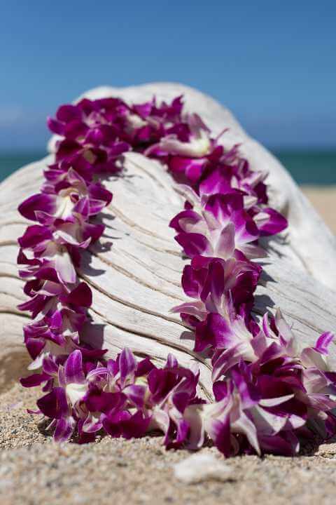 Standard Lei Greeting in Kauai