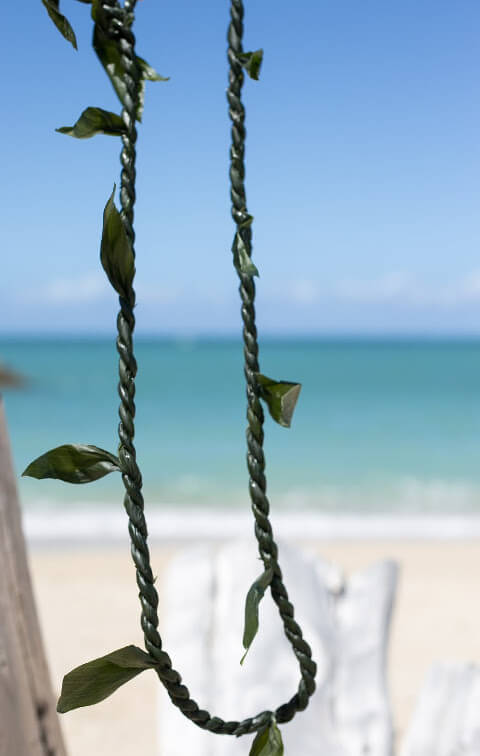 Ti Lei Greeting Hawaii Island