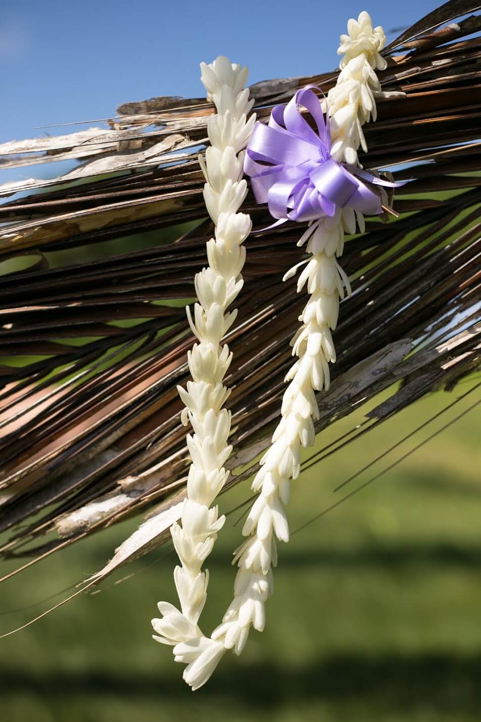 Tuberose Lei Greeting Hawaii Kona Airport